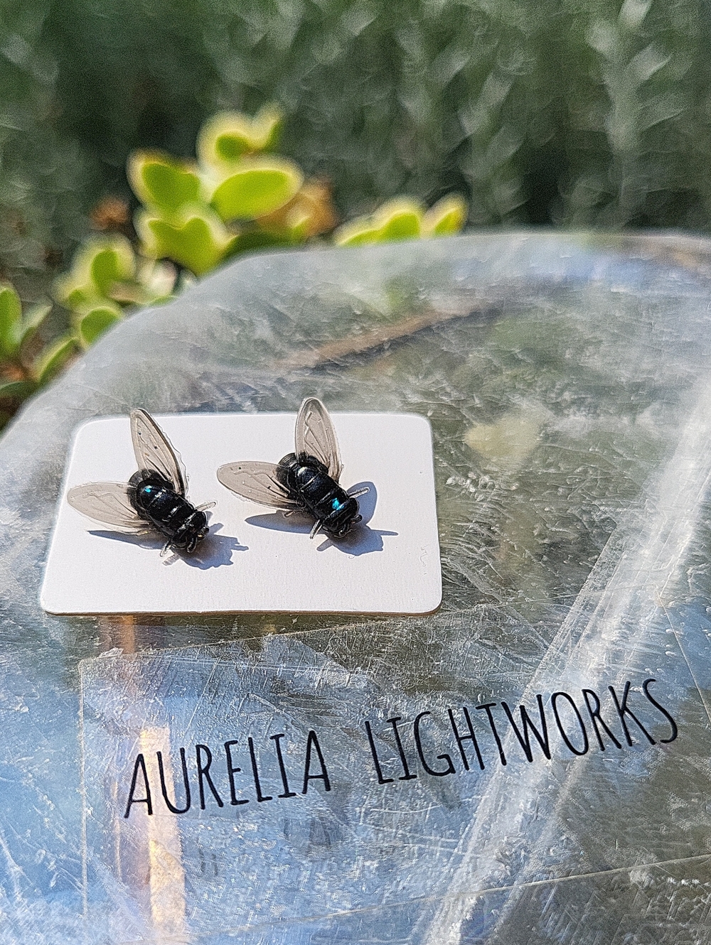 🪰 Brand New Fly Earrings